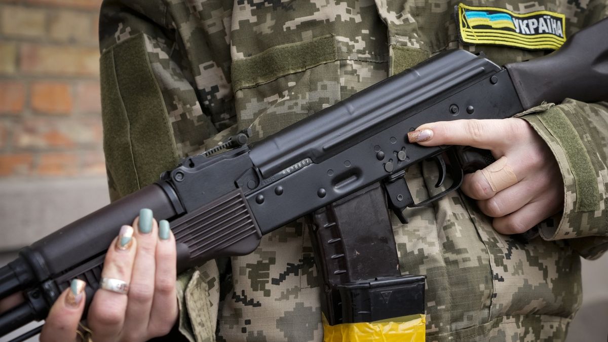 Češi by měli mít možnost jít bojovat na Ukrajinu, navrhují politici. Hrad mlčí